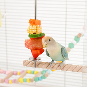 Paslanmaz çelik meyve çatalı için Pet kuşlar için meyve besleme ve temizlik aksesuar için kuş kafesleri kaliteli Pet ürünleri - Product Image 2