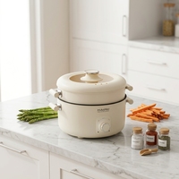 Cuisinière électrique à pression multifonctionnelle à double couche antiadhésive la plus vendue, 5L, cuisinière électrique