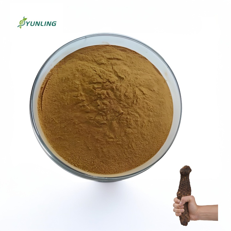 High Quality Cistanche Deserticola Extract Powder Cistanche Tubulosa Extract 80% Cistanche Saponins Powder