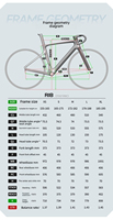 Vélo de route R18 Racing ED en fibre de carbone avec freins à disque, 24 vitesses, roues à rayons en carbone 105 R7170 Hydr, léger