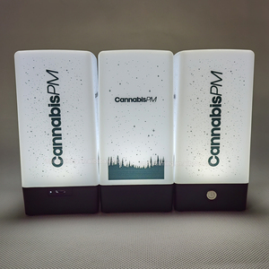 Lampada da Tavolo LED Decorativa con Logo Personalizzato, Controllo Touch, Ricaricabile, Dimmerabile, Luce Soffusa per Camera da Letto, Ufficio, Festa, Regalo - Product Image 5