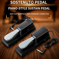 Factory Outlet Steel Electronic Piano Organ MIDI Keyboard Musical Instrument Single Pedal Sustain Pedal