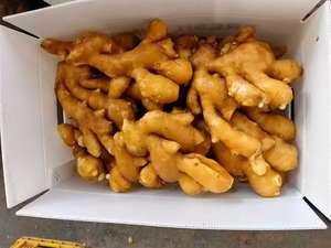 Raiz de Gengibre Fresco de Alta Qualidade Direto da Fazenda de Shandong 10kg Produto Agrícola - Product Image 5