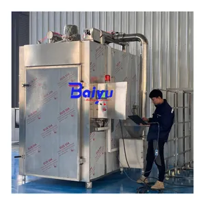 Baiyu Commercial Automatic Electric Meat Product Maker for Brisket Beef and Fish Sausage Smoking New with Motor PLC Equipment