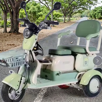 Tricycles électriques sans balais à 3 vitesses et 3 roues pour adultes, moteur moyeu arrière 48V 500W, batterie 20Ah, cadre en acier au carbone ouvert, vitesse maximale