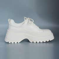 Vente en gros de mode automne à lacets sport loisirs chaussures pour femmes fond épais plate-forme imperméable doux surélevé dames chaussures décontractées