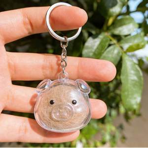 Cápsula Transparente Personalizada para Guardar Pelo de Mascota, Llavero Conmemorativo Grabable, Recolector de Bolas de Pelo de Mascota - Product Image 1