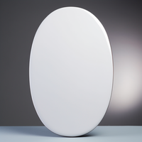 Plaque commémorative ovale vierge en céramique, tablette en porcelaine haute densité pour urne funéraire et commémoration