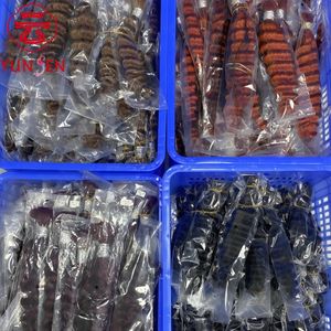 Extensions de cheveux humains bouclés de haute qualité, mèches bouclées naturelles avec connecteurs - Product Image 4