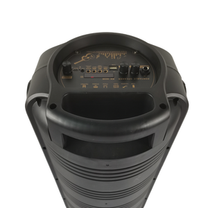 Loa Tiệc Tùng Cầm Tay 8 Inch Mẫu Mới 2020.11 Với Loa Đèn LED Tích Hợp Mic - Product Image 2