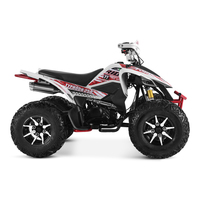 Tao Motor 2024 Nouvelle Quadricycle à transmission manuelle 250cc 4x2 ATV à transmission automatique Jantes en alliage Moto Tvs 125 Transmission par chaîne Taille adulte