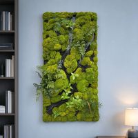 Panneau mural en mousse préservée de qualité supérieure de 100 cm pour la décoration intérieure