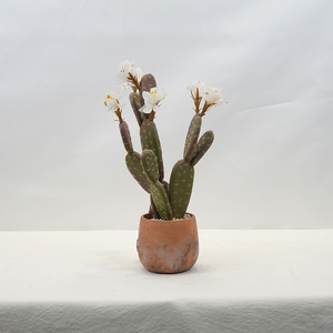 Garniture d'intérieur multi-<span class=keywords><strong>cactus</strong></span> artificiel en pot en <span class=keywords><strong>terre</strong></span> cuite nouveau design en gros - Product Image 3