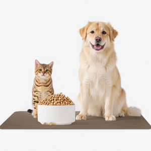 65*110cm Eco-Friendly Silicone <strong>Dog</strong> <strong>Mat</strong> Camping Labrador Reusable Multi-Functional <strong>Mats</strong> - Product Image 2