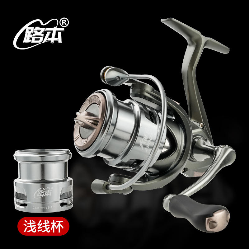 Grand frère-[coupe de ligne peu profonde]-1000s