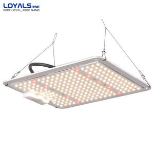 Panneau de culture à <span class=keywords><strong>LED</strong></span> pour plantes d'intérieur, <span class=keywords><strong>lampe</strong></span> de <span class=keywords><strong>croissance</strong></span>, panneau lumineux pour graines, légumes <span class=keywords><strong>et</strong></span> fleurs - Product Image 1