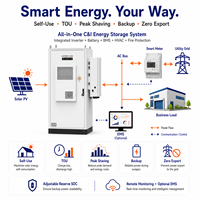 Système de stockage d'énergie solaire industriel 75kWh 100kWh 200kWh 300kWh, onduleur hybride, batterie lithium-ion, stockage hors réseau