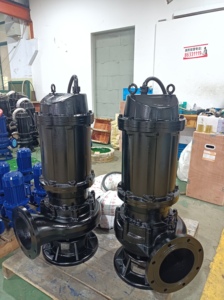 Bomba Sewa sumergible eléctrica de alta calidad de 10 m3/h, bomba manual centrífuga de 230V, uso agrícola, agua sucia con energía Solar de pozo profundo - Product Image 2