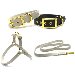 Collier de laisse pour chien en pu Offre Spéciale - Product Image 1