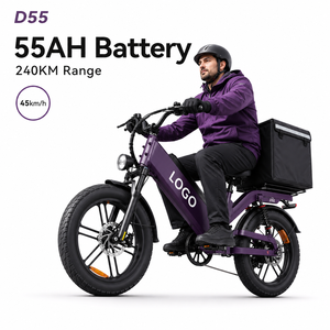 จักรยานไฟฟ้า E-bike OEM D55 รุ่นบรรทุกสัมภาระ 48V55Ah ยางอ้วนขนาด 20 นิ้ว ความเร็ว 28 ไมล์ต่อชั่วโมง จักรยานส่งของอเนกประสงค์ทรงพลัง พร้อมไฟเลี้ยว - Product Image 1