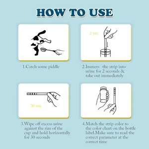 Chien et chat de suivi à domicile de santé pour animaux de compagnie d'usine pour la santé rénale prend en charge le <span class=keywords><strong>test</strong></span> d'infection des voies urinaires - Product Image 2