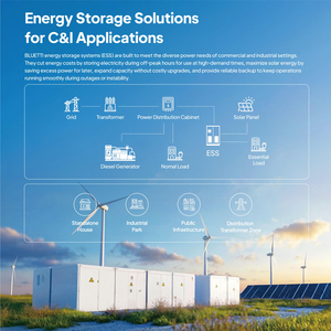 1,29 MW Zonnesysteem 2,5 MWh Generator Sola Lithium Batterij 2500 kW All-in-one BESS Energieopslagsysteem in container - Product Image 4