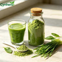 Poudre d'herbe d'orge soluble dans l'eau Cynherb, qualité alimentaire, poudre de jus d'herbe d'orge verte pour les usines de boissons
