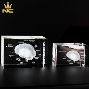 Thiết Kế Mô Hình NÃO KHẮC Khối Thủy Tinh 3D <span class=keywords><strong>Laser</strong></span> <span class=keywords><strong>Crystal</strong></span> Cho Quà Lưu Niệm Bệnh Viện - Product Image 6