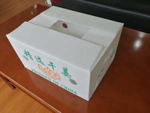 Contenedores de almacenamiento de jengibre fresco corrugado PP apilables de fábrica Caja corrugada de frutas y verduras de plástico polivinílico duradero hueco - Product Image 4