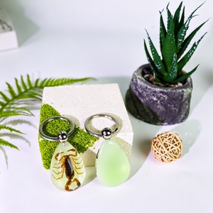 Llavero de Resina con Espécimen de Araña Real de Alta Calidad, Brilla en la Oscuridad, Novedad para Hombres, Llaveros Promocionales con Mosquetón - Product Image 3