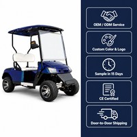 Carrito de Golf Eléctrico de 4 Ruedas, 2 Asientos, Alta Velocidad, 35 km/h, 25% de Inclinación, para Campos de Golf, Resorts y Hoteles