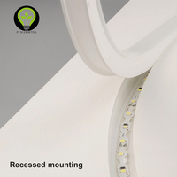 Couverture de diffuseur en Silicone néon pour bande LED 10mm et 8mm connectivité USB et NFC corps en cuivre commande vocale pour bricolage conception d'enseigne au néon