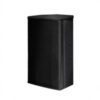 Haut-parleur professionnel haute sensibilité LS de 10 pouces, système audio 250W RMS pour salles de karaoké, bars et clubs - K-P6010