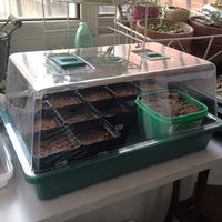 Boîte de culture, 24 cellules, pour le jardin, pépinière, semis, démarreur de plantation