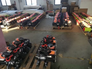 טעינת קיבולת 500KG הרמת גובה 30M 60M כבל בקרת חוט חבל סוג מיני מנוף חשמלי - Product Image 5