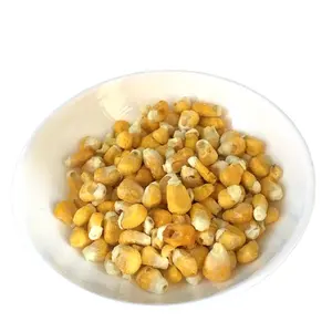 Dried yellow corn kernel