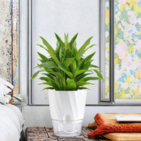 Pot de fleurs hydroponique blanc transparent jardinière en pot bonsaï auto-arrosant pour jardinage à la maison paquet de 1