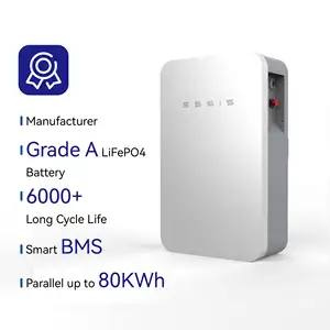 Batteria al litio energia solare Lifepo4 batteria 51.2v 100Ah 200Ah sistema solare casa di accumulo di energia