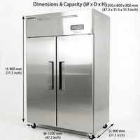 Congélateur vertical commercial personnalisé SWENZA en acier inoxydable à double porte, réfrigérateur vertical, refroidisseur