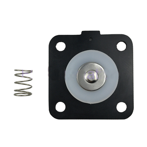 1 inch Chất lượng cao airwolf khí nén van xung với FKM k2503/m1887 hoành khí phương tiện truyền thông tương thích - Product Image 1