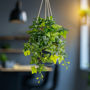 5 Ramas de Hiedra Artificial para Exteriores, <span class=keywords><strong>Plantas</strong></span> Colgantes Decorativas para el Hogar <span class=keywords><strong>con</strong></span> Plástico para Acción de Gracias - Product Image 5