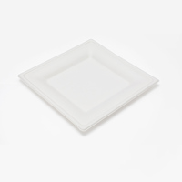 Vaisselle jetable biodégradable en bagasse de canne à sucre pour fêtes : assiettes, gobelets et couverts durables en gros