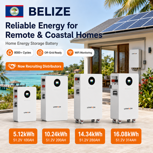 Paquete de Baterías de Litio Solares de 48V 300Ah 200Ah 150Ah 100Ah, 10kwh 15kwh 314Ah 280Ah, Almacenamiento de Energía para el Hogar - Product Image 5