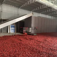 2025 Hot Sale Flysun RVS Automatische Intelligente Continue Droogmachine voor Rode Chili's, Hoge Capaciteit, Mini Formaat