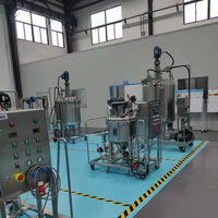 Biorreactor de Acero Inoxidable con Agitador, Mirilla y Abrazadera Tri-Clamp para Procesamiento Químico y de Fermentación Biotecnológica
