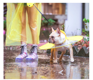 <strong>Wholesale</strong> Custom High Quality Flying Saucer ufo Shaped Dogs Clothes <strong>Raincoat</strong> for Dog Walking - Product Image 4