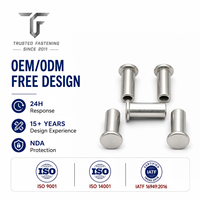 Rivets semi-tubulaires à tête plate de précision par TianFang pour boîtiers électroniques, production en volume, laiton nickelé, tailles personnalisées