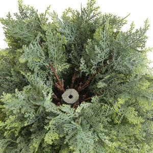 PZ-1-130 <span class=keywords><strong>taille</strong></span> personnalisée sans décoloration fausse plante intérieur bureau plante en pot arbre en plastique dans un pot cèdre artificiel - Product Image 4