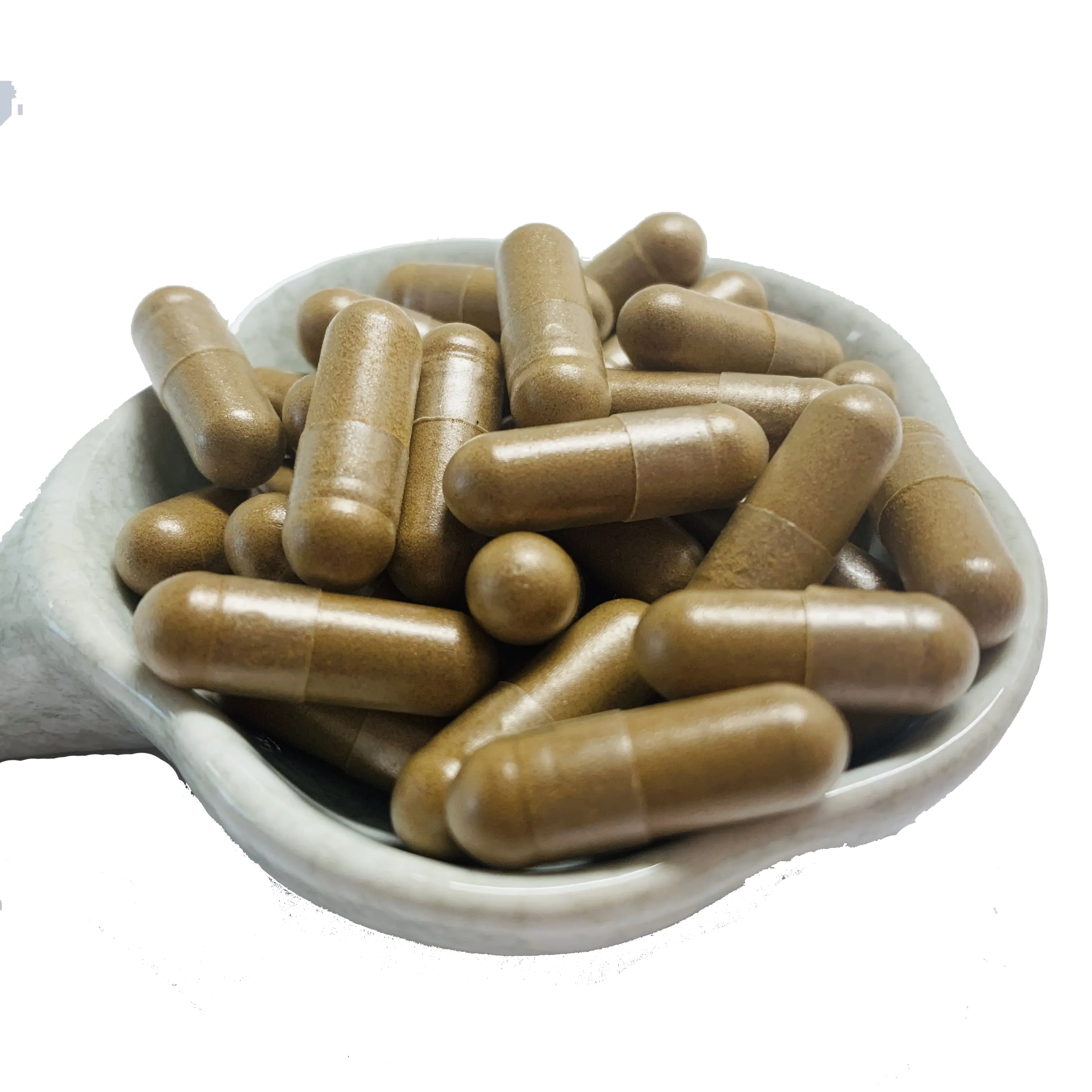 Bulk Plantaardige Capsules 400Mg Reishi Paddestoel Poeder Capsules