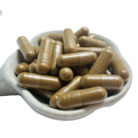 Capsules de plantes en vrac 400 mg Capsules de poudre de champignon Reishi